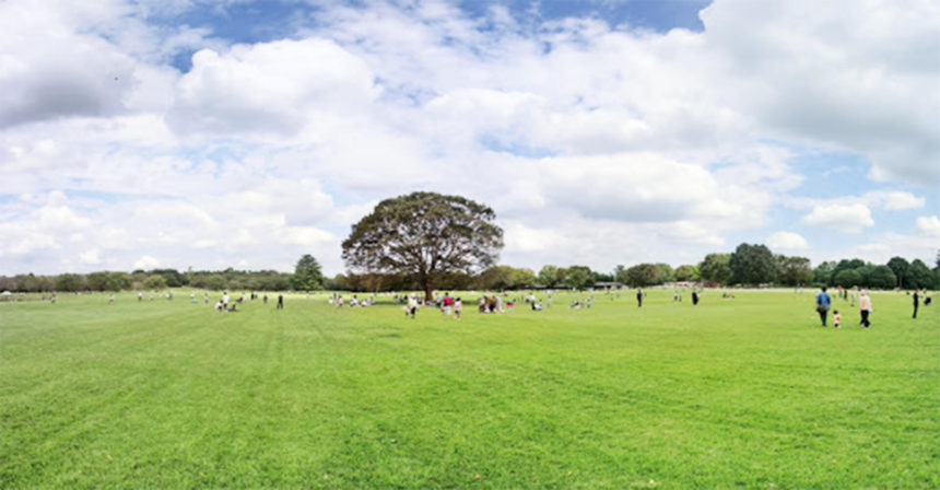 昭和記念公園ドッグラン 東京都立川市 いんぬis 昭和記念公園ドッグラン 東京都立川市 いんぬis