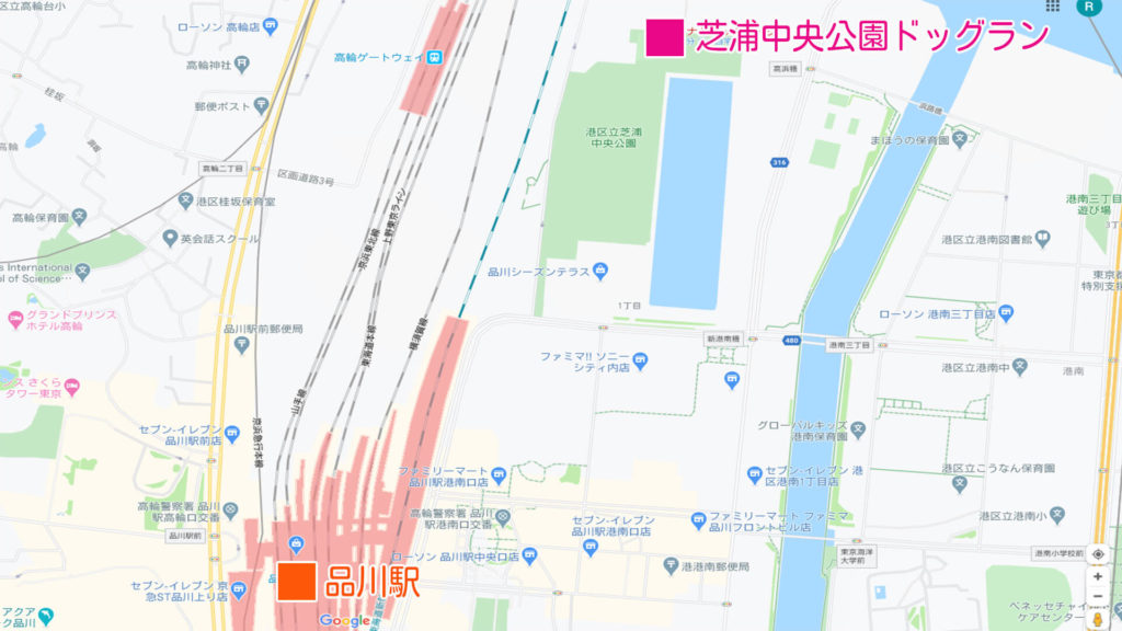 芝浦中央公園ドッグラン 東京都港区 いんぬis 芝浦中央公園ドッグラン 東京都港区 いんぬis