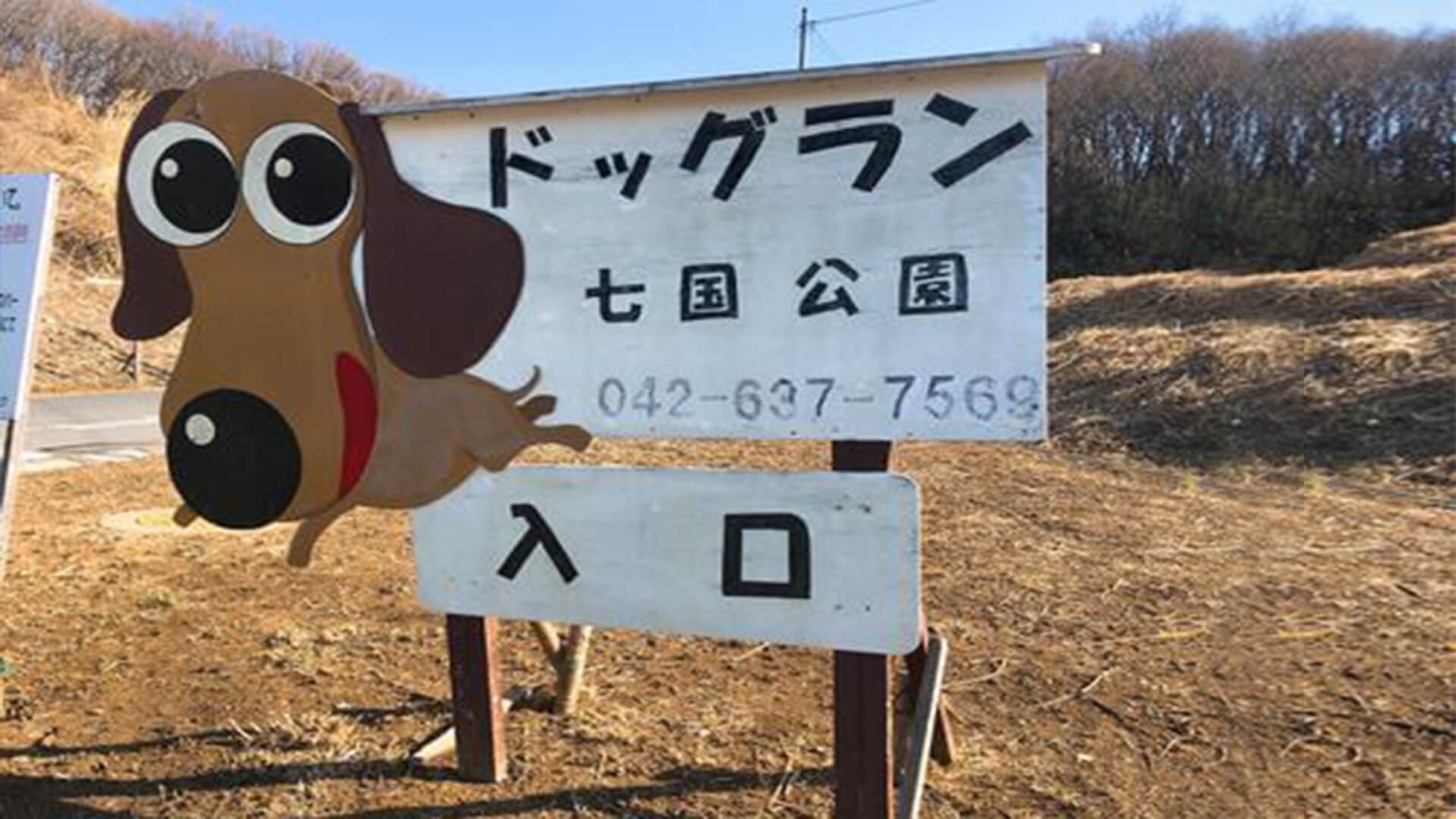 七国公園ドッグラン 東京都八王子市 いんぬis 七国公園ドッグラン 東京都八王子市 いんぬis