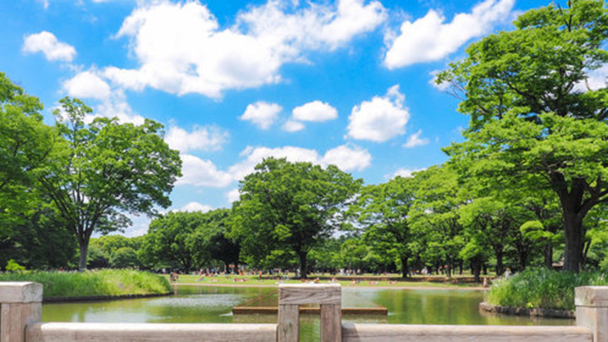 代々木公園ドッグラン 東京都渋谷区 いんぬis