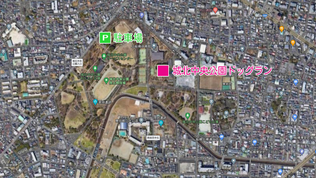 城北中央公園ドッグラン 東京都練馬区 いんぬis