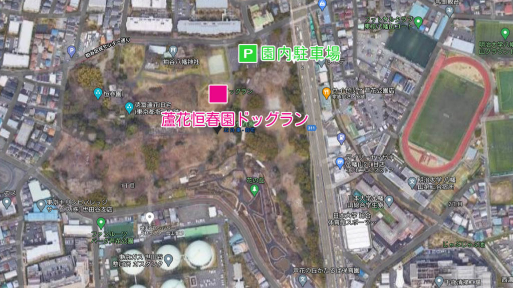 蘆花恒春園ドッグラン 東京都世田谷区 いんぬis