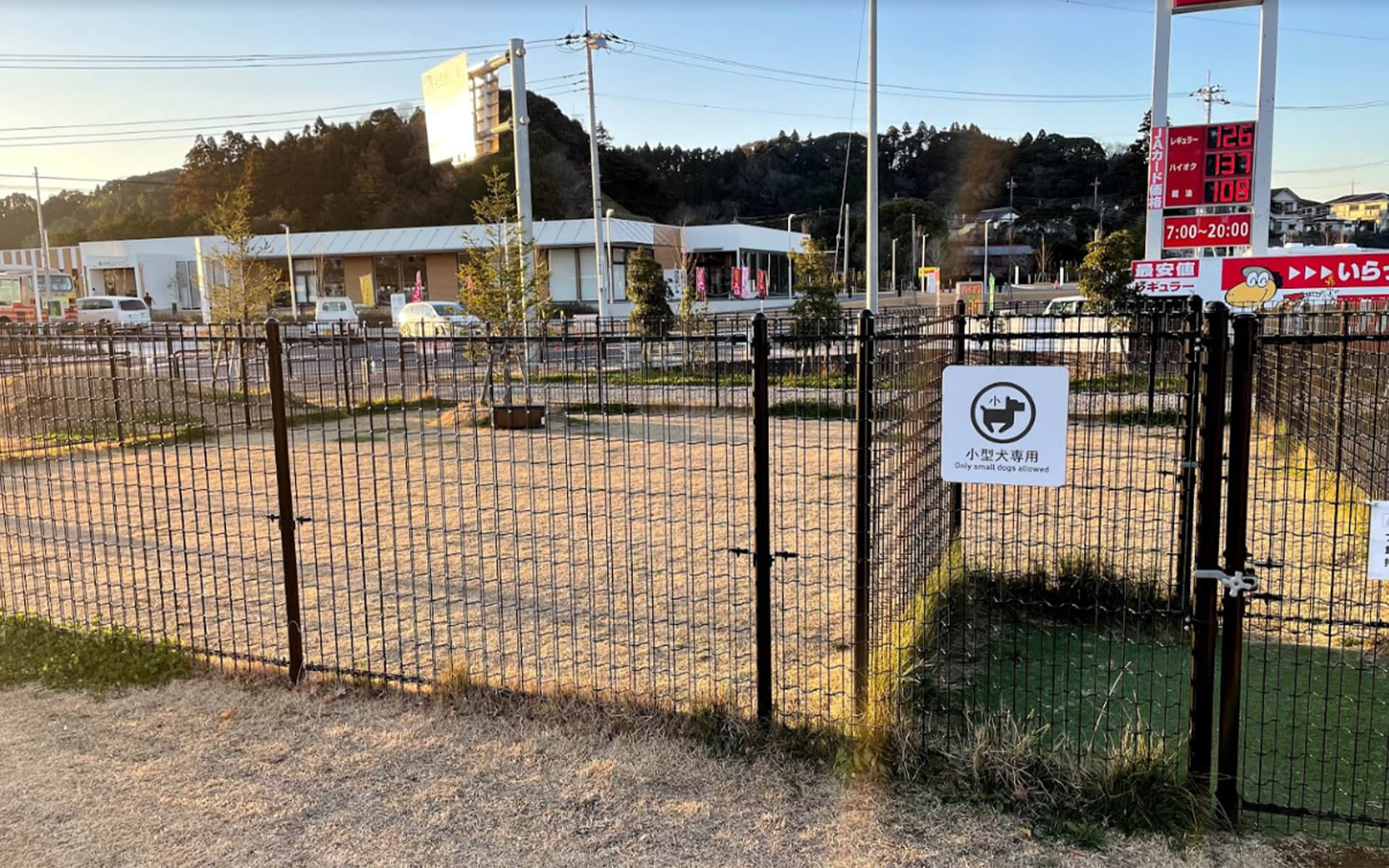 オリーブの森ドッグラン 千葉県長生郡 いんぬis
