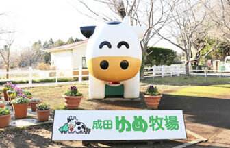 七国公園ドッグラン 東京都八王子市 いんぬis 七国公園ドッグラン 東京都八王子市 いんぬis