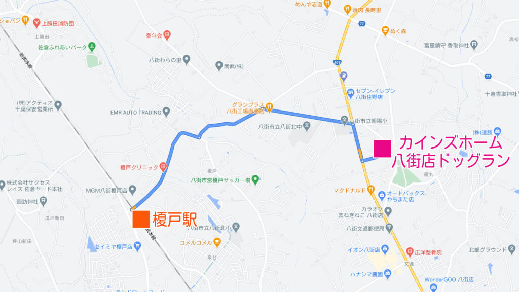 カインズホーム八街店ドッグラン 東京都八街市 いんぬis カインズホーム八街店ドッグラン 東京都八街市 いんぬis