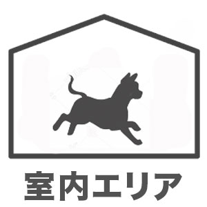 室内エリア