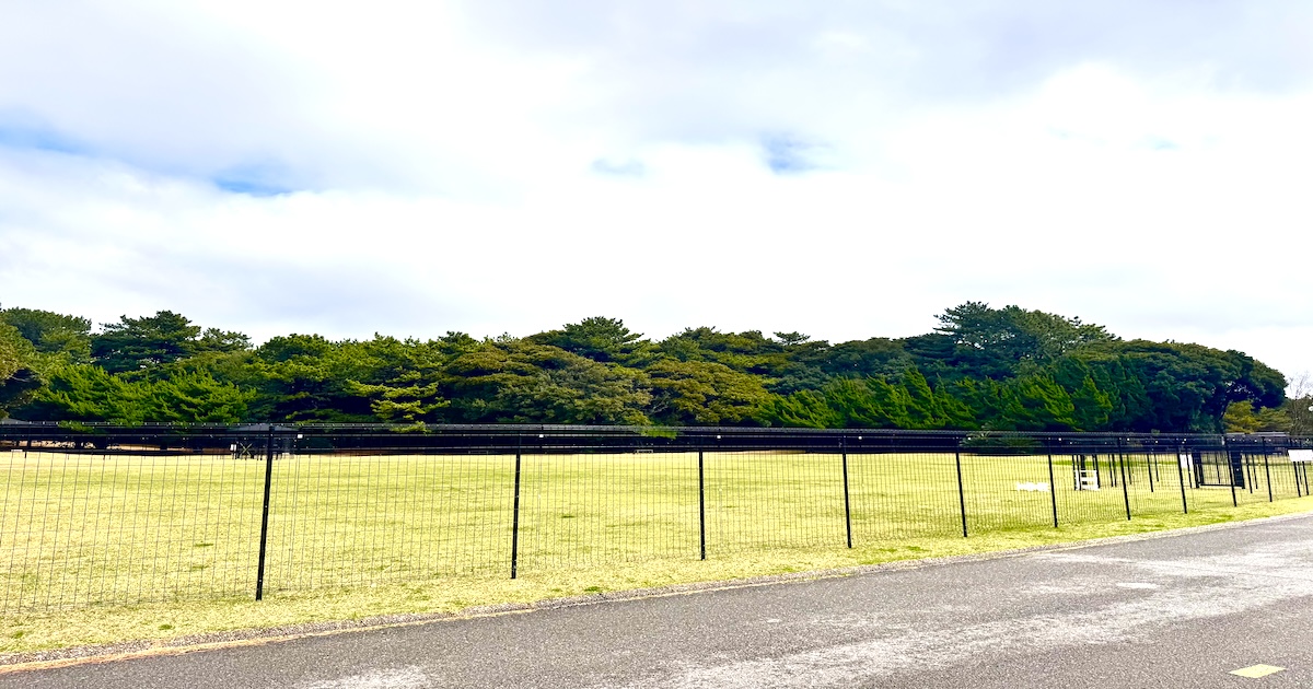 ドッグパーク稲毛ドッグラン【千葉県/稲毛市】