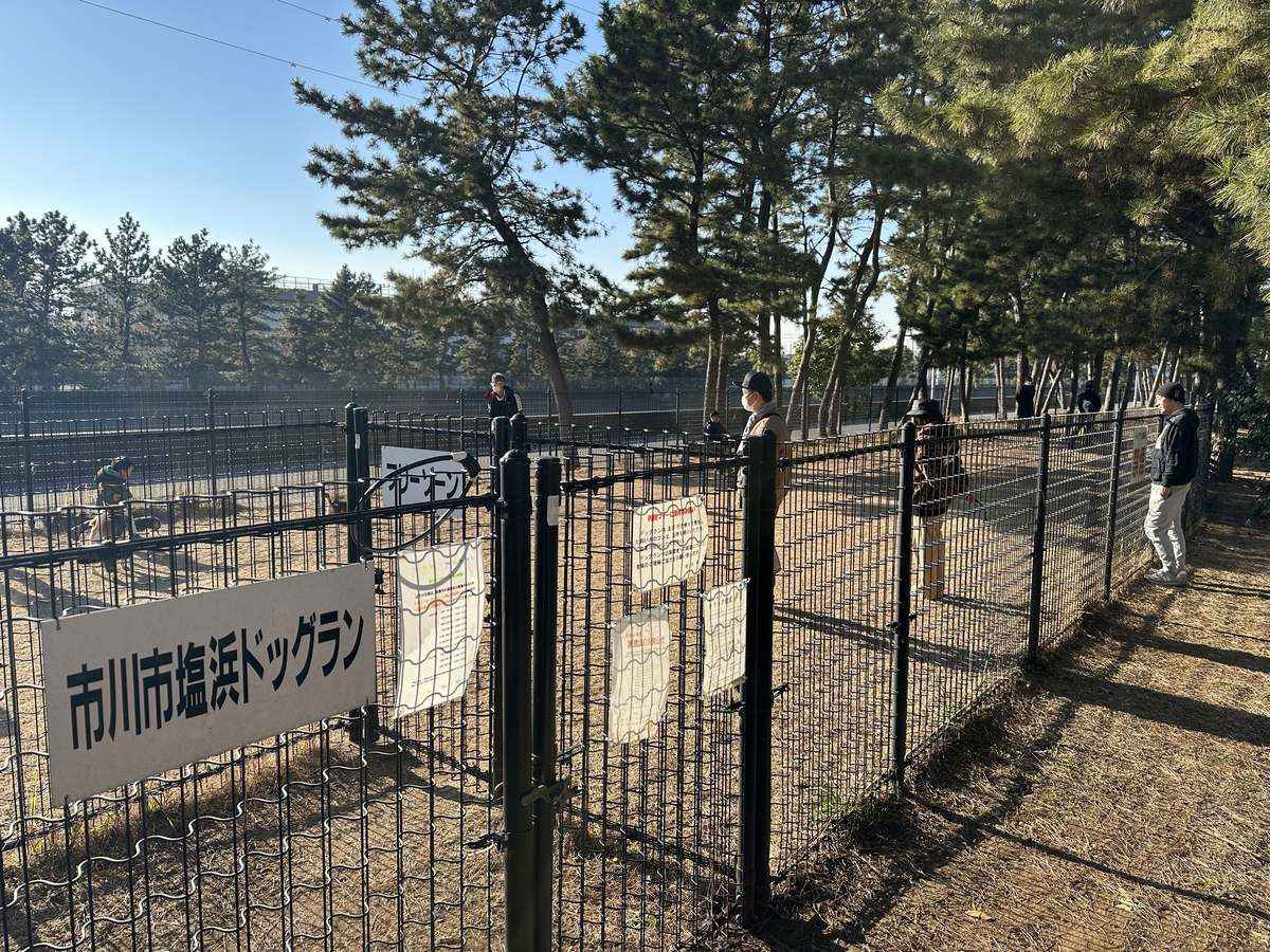 塩浜ドッグラン【千葉県/市川市】塩浜第二公園内の無料公営ドッグラン！小型犬専用ゾーン完備で安心