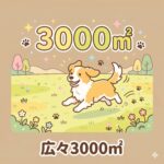 総面積3000㎡以上