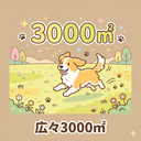 総面積3000㎡以上