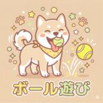 ボール遊び