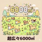 総面積6000㎡以上