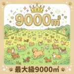 総面積9000㎡以上