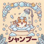 セルフシャンプー