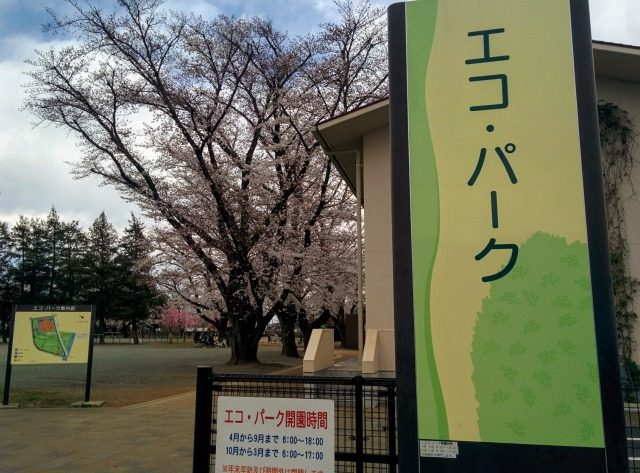 エコ・パーク全景。広大な公園の中にドッグランが整備されている