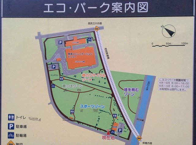 エコ・パークの園内。原っぱゾーンとスポーツゾーンが広がる