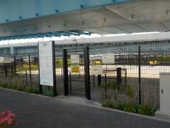 晴海臨海公園わんわん広場【東京都/中央区】