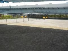 わんわん広場 外観（中央区公式）