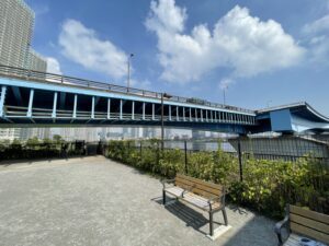 豊洲大橋橋下の日陰エリア（提供: Leoの大冒険 2021年撮影）