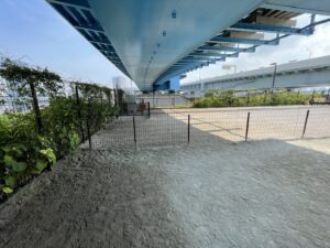 砂地の地面（提供: Leoの大冒険 2021年撮影）