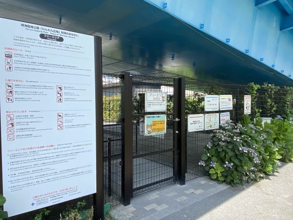 晴海エリアからの眺め（提供: Co-sodate 2020年撮影）
