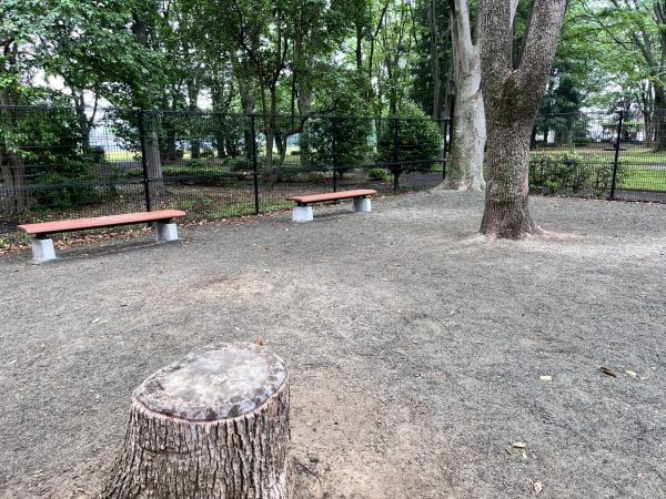 園内に置かれたベンチと切り株。地面は土で、樹木の木陰がある（リビング多摩Web撮影）
