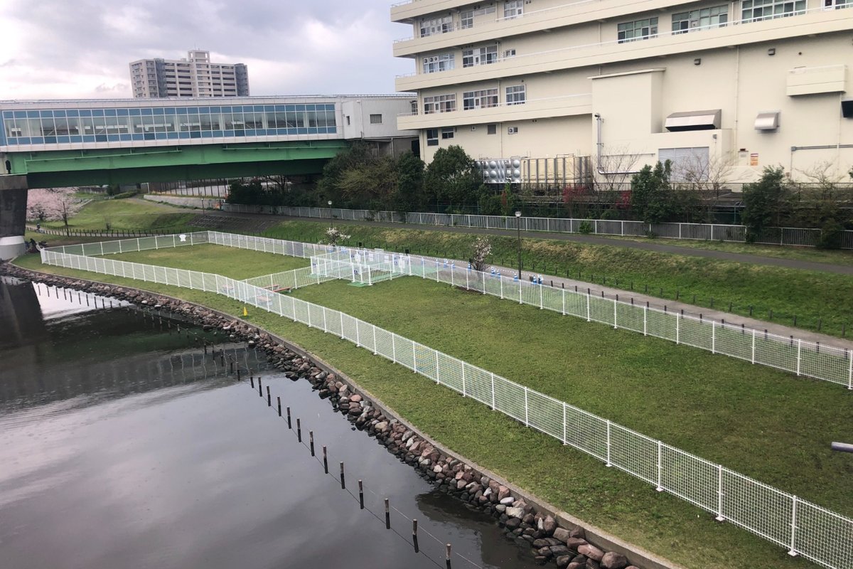 旧中川ドッグラン
