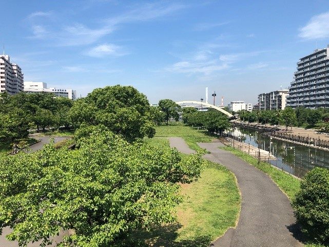 総合レクリエーション公園の水辺と園路