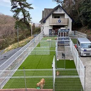 高台から見下ろしたドッグランの俯瞰写真。メッシュフェンスで仕切られた芝敷きの区画が複数並び、奥に本館と送迎車が写る（公式サイトより）