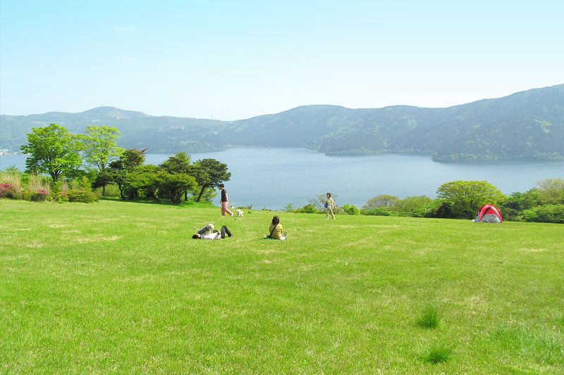 80,000㎡の芝生広場と芦ノ湖の眺め。リード着用のうえ愛犬と散策する来園者やテントでくつろぐ人の姿(公式サイトより)