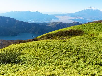 隣接する箱根駒ヶ岳ロープウェー山頂付近から望む富士山(ペットキャリー利用で同伴可能な別施設・参考画像)