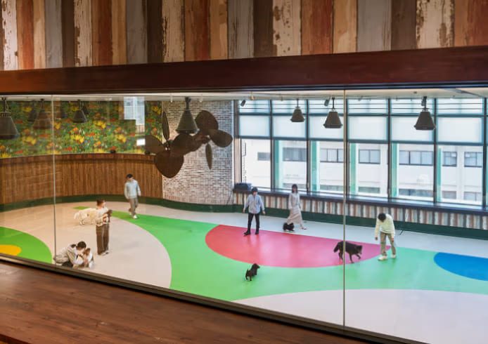 2階分の吹き抜け越しに見るドッグパークの広さ（公式サイト dogpark ページ掲載）