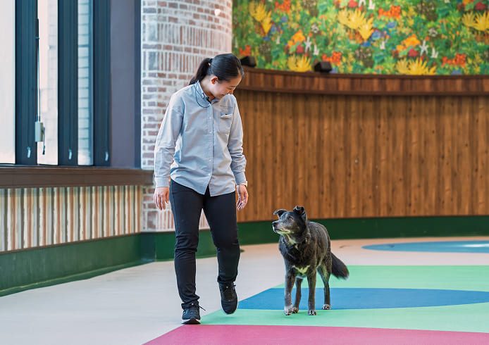 常駐スタッフ（ドッグトレーナー）が愛犬と接する様子（公式サイト dogpark ページ掲載）